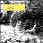 Les jours fantômes de Syd Matters