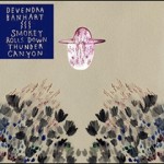 Devendra Banhart, l’artiste aux mille influences